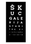 Galerija Škuc