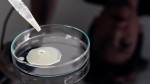 In Posse: Female Sperm and the Festival of Thesmophoria Vol. 1