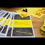 Press conference & workshop