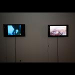 Barbara Hammer: Potapljačice z otoka Jeju-Do (Diving Women of Jeju-Do), Konj ni metafora (A Horse Is Not a Metaphor)