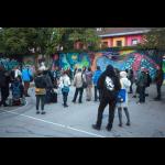 Mural by Women, Mitochondrial Wall, opening & picnic