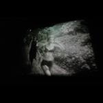 Shelbatra Jashari: Kismet