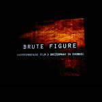Brute Figure / Brut Figures