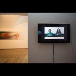 Marta Vergonyós: Prenašanja (Transmissions)
