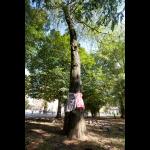 Obleke za ILUZIJE (ILLUSION Dresses)