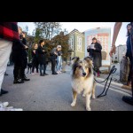 Guided tour of The Unforgettable street exhibition