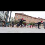 Jugo joga