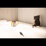 Dana Michel: Yellow Towel