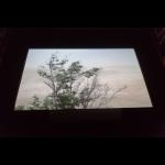 No Home Movie & festival opening