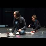 Hahn Rowe: Zvok v performansu