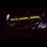 Poletje 1993, film