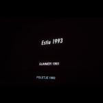 Poletje 1993, film