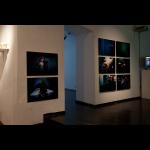 Katharina Hesse: Lastna izbira / Human Negotiations