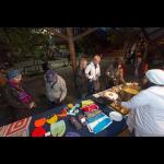 Mural by Women, Mitochondrial Wall, opening & picnic