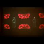 TejalShah: Kaj si ti?/ What Are You? - video instalacija / video installation