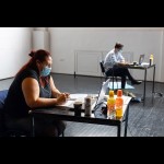 Enakost spolov v kulturi, konferenca