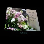 The Disobedient Muses Programme 1