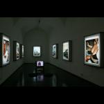 Olga Kisseleva: Sedem smrtnih zelja / Seven Deadly Desires