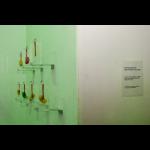 Shilpa Gupta: Supermarket Ledvicka / Your Kidney Supermarket