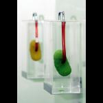 Shilpa Gupta: Supermarket Ledvicka / Your Kidney Supermarket