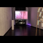Corneous Stories: Exhibition opening