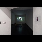 Corneous Stories: Exhibition opening