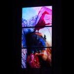 Florentina Holzinger: TANZ 