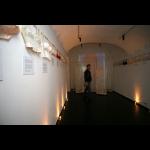 Humour Works, exhibition opening