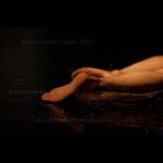 Judith Witteman