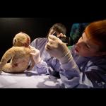 Marijs Boulogne: The Anatomy Lesson - A Forensic Fairytale