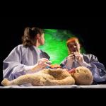 Marijs Boulogne: The Anatomy Lesson - A Forensic Fairytale