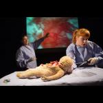 Marijs Boulogne: The Anatomy Lesson - A Forensic Fairytale