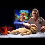 Marijs Boulogne: The Anatomy Lesson - A Forensic Fairytale