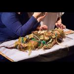 Marijs Boulogne: The Anatomy Lesson - A Forensic Fairytale