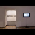 Milijana Babić: Looking for Work