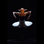 Dance of the Magnetic Ballerina