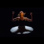 Dance of the Magnetic Ballerina