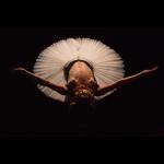 Dance of the Magnetic Ballerina
