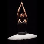 Dance of the Magnetic Ballerina