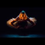 Dance of the Magnetic Ballerina