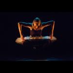 Dance of the Magnetic Ballerina