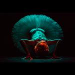 Dance of the Magnetic Ballerina