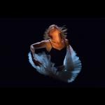 Dance of the Magnetic Ballerina