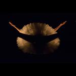Dance of the Magnetic Ballerina