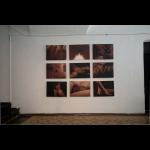 Carolyn Cowan - Projekt muca/The Pussy Project
