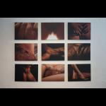 Carolyn Cowan - Projekt muca/The Pussy Project