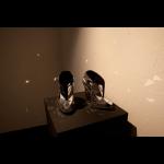 Andreia Chaves - Nevidni čevelj / Invisible Shoe