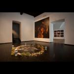 ALICIA FANTOZZI  - Ples duhov / Ghost Dancers, fotografska serija / Photographic series