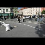 Mara Verna: Whites Waiting