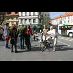 Mara Verna: Whites Waiting
